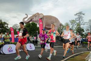 BIB: 
                            <button type="button" onclick="openModal(26528276)" class="btn btn-primary btn-sm float-right btn-popup" data-toggle="modal" data-target=".modal-high-quality">
                        <i class="fas fa-shopping-cart"></i> Add to Cart
                    </button>
                                            <button type="button" onclick="isThisMe(26528276, true)" class="btn btn-success btn-sm float-right btn-popup btn-isme hidden" data-toggle="tooltip" data-placement="bottom" title="นี่คือรูปของคุณใช่ไหม คลิกที่นี่เพื่อเอาเข้าอัลบั้ม">
                        <i class="fas fa-plus"></i> Add to album
                    </button>
                    <button type="button" onclick="isThisMe(26528276, false)" class="btn btn-warning btn-sm float-right btn-popup btn-isnotme hidden">
                        <i class="fas fa-ban"></i> Remove from album
                    </button>